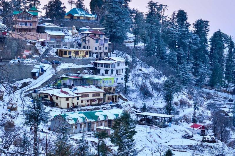Shimla Banner